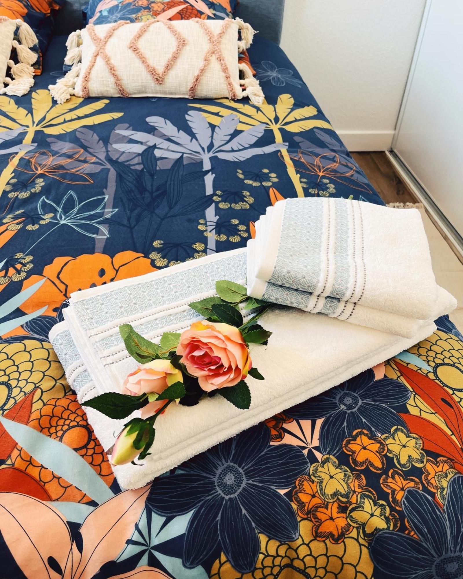 Appartement Chez Rose Narbonne Dış mekan fotoğraf