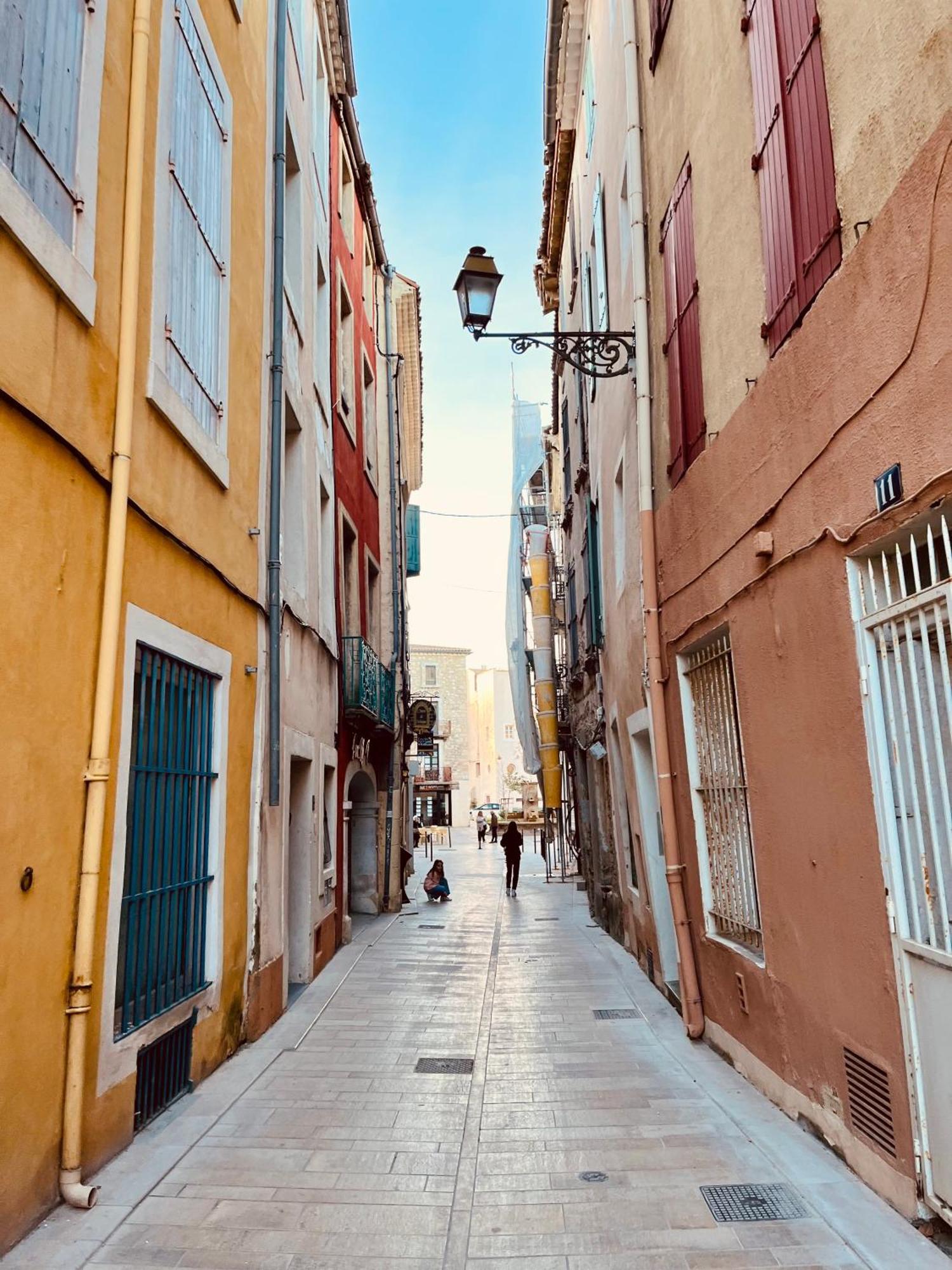 Appartement Chez Rose Narbonne Dış mekan fotoğraf